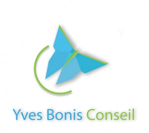 Logo Yves Bonis Conseil